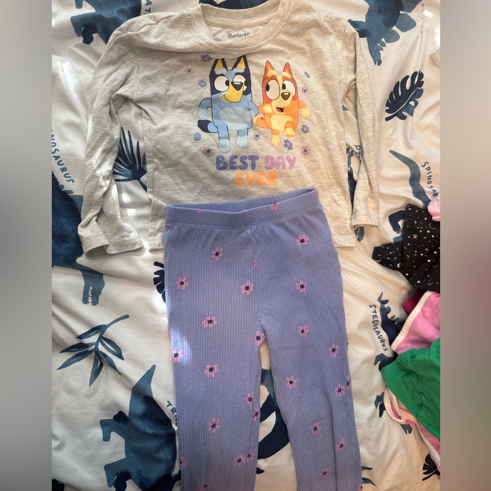 Bluey set